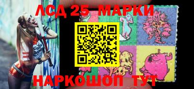 стафф Гудермес
