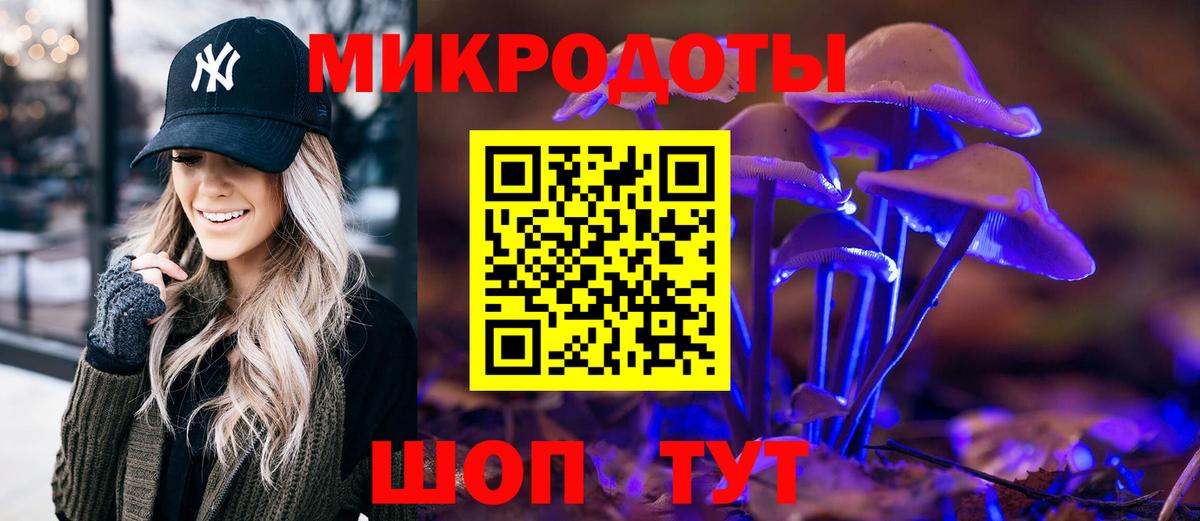 Ессентуки  Псилоцибиновые грибы прущие грибы  Вход с VPN 